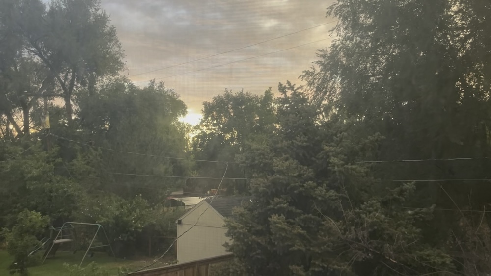 view of post thunderstorm golden sunset from the window to my backyard and the neighbor’s backyard