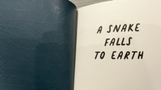 Image from note Reading A Snake Falls to Earth