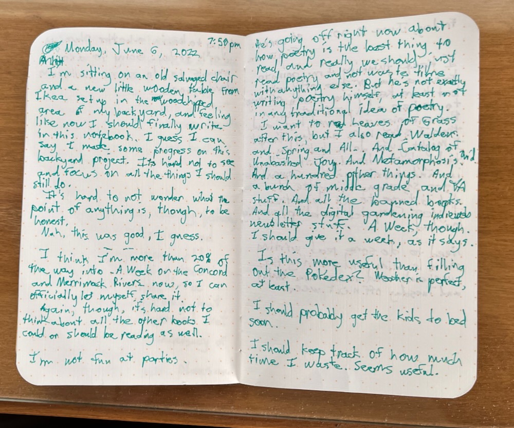 Snapshot of a spread from my notebook, written Monday, June 6, 2022 - portions transcribed above