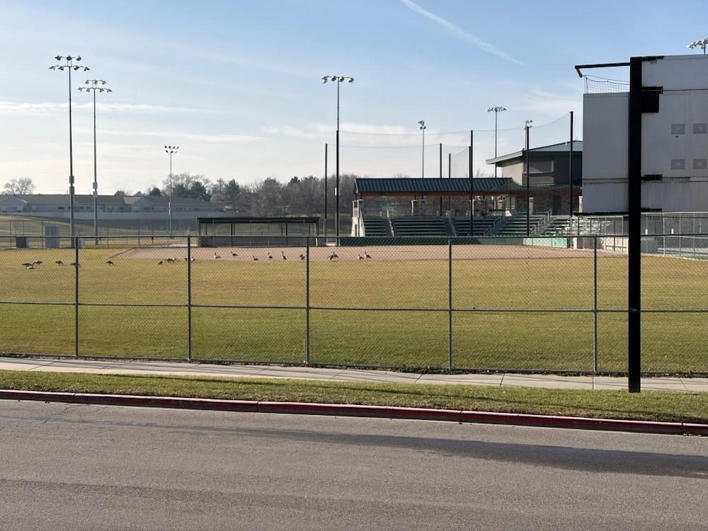 Image from note Writing Spot Snapshots 2025-12-31 and 2026-01-01