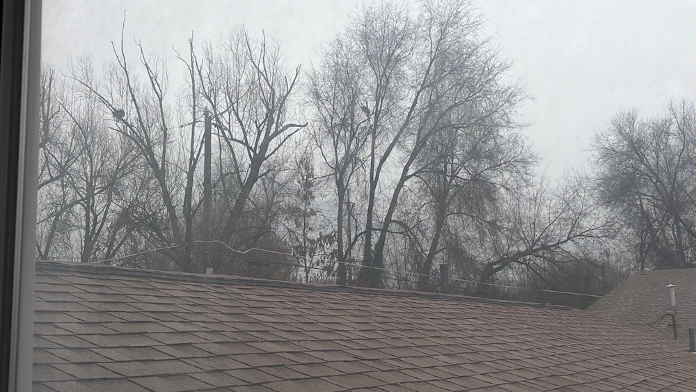 Image from note Writing Spot Snapshots 2025-12-31 and 2026-01-01